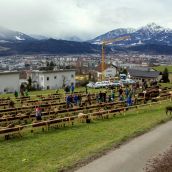 Schafausstellung Tiroler Bergschaf  (49)